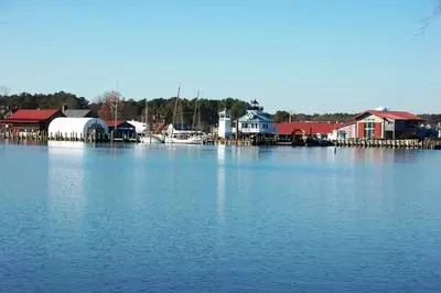 View of the shore from the water