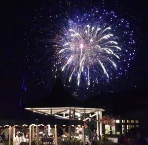 Fireworks blast in night sky