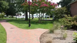 park in summer