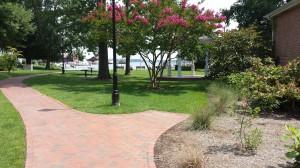 park in summer