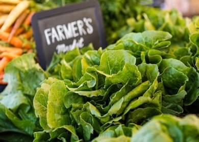 Closeup of lettuce