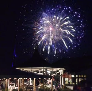 Fireworks blast in night sky