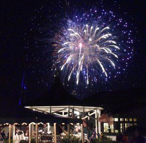 Fireworks blast in night sky